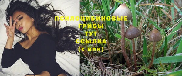 кристаллы Кинешма