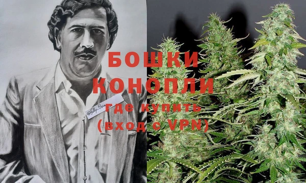 ПСИЛОЦИБИНОВЫЕ ГРИБЫ Киреевск
